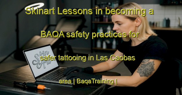 Skinart Lessons in becoming a BAQA safety practices for safer tattooing in Las Caobas area | BaqaTraining | BaqaClasses | SkinartTraining-Mexico